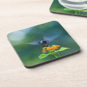 エンジェルウィングズハミングバード コースター (左側)