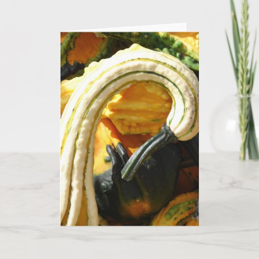 エンジェルウィングールド カード (正面)