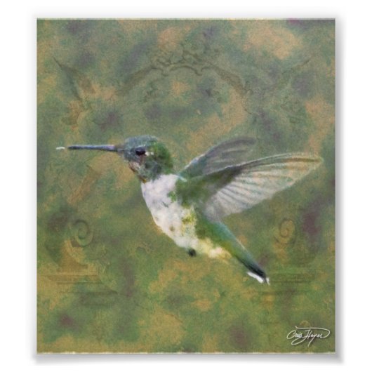 エンジェルウイングシリーズ フォトプリント            (正面)