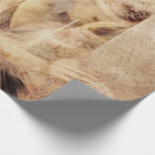 エンジェルエレガントブラ白熱［赤熱］光を放つウンセピアフローラアンティーク ラッピングペーパー (角)