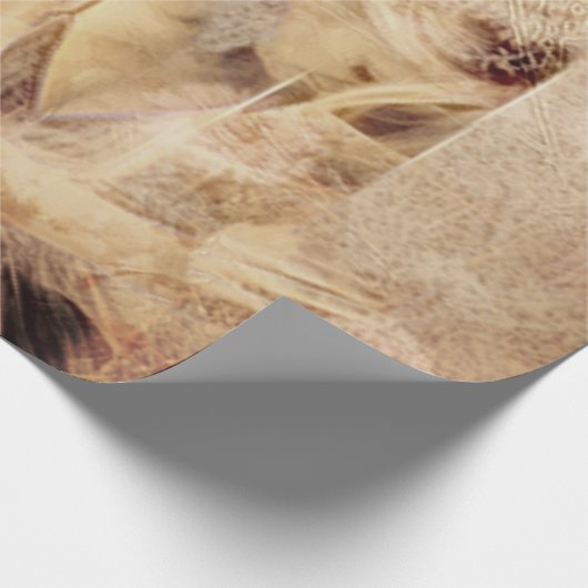 エンジェルエレガントブラ白熱［赤熱］光を放つウンセピアフローラアンティーク ラッピングペーパー (角)