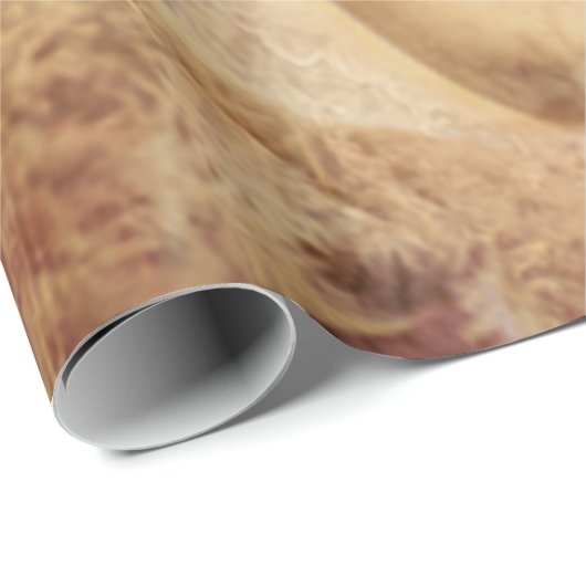 エンジェルエレガントブラ白熱［赤熱］光を放つウンセピアフローラアンティーク ラッピングペーパー (ロールコーナー)