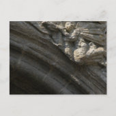 エンジェルオンサンティアゴデコンポステラ大聖堂はがき ポストカード (正面)