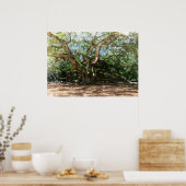 エンジェルオークウォーターの色 ポスター (キッチン)