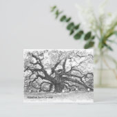 エンジェルオークツリー ポストカード (スタンド正面)