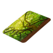 エンジェルオーク マグネット (左側)