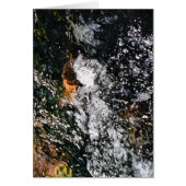 エンジェルカード (正面)