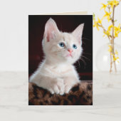 エンジェルキットグリーティングカード カード (黄色い花)