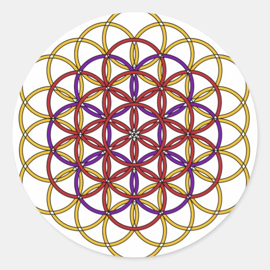 エンジェルグリッドコレクション ラウンドシール (正面)