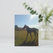 エンジェルスファイビーナイト ポストカード (スタンド正面)