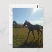 エンジェルスファイビーナイト ポストカード (正面/裏面)