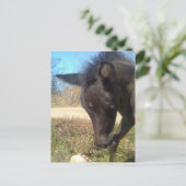 エンジェルスファイビーナイト ポストカード (スタンド正面)