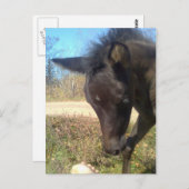 エンジェルスファイビーナイト ポストカード (正面/裏面)