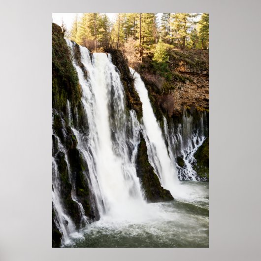 エンジェルズキャンプカリフォルニアス最も有名な金ゴールドラッシュタウン ポスター (正面)