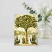 エンジェルズタイムズ過去はがき ポストカード (スタンド正面)