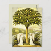 エンジェルズタイムズ過去はがき ポストカード (正面/裏面)