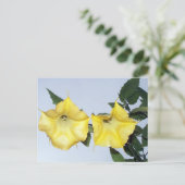 エンジェルズトランペットブルグマンシアポストカード ポストカード (スタンド正面)