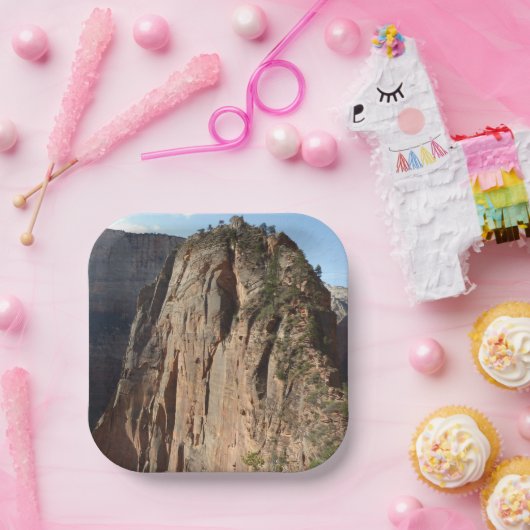 エンジェルズランディングアットジオン国立公園 ペーパープレート (パーティー)