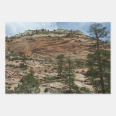 エンジェルズランディングアットジオン国立公園 ラッピングペーパーシート (正面3)