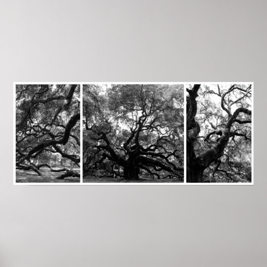 エンジェルツリーコラージュ ポスター (正面)