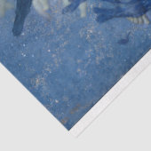 エンジェルナイト&彼女の星のデコページ紙 薄葉紙 (詳細)