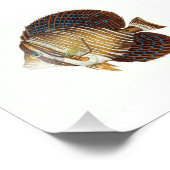 エンジェルフィッシュビーチ航海の海浴室 フォトプリント            (角)