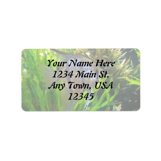 エンジェルフィッシュラベル ラベル (正面)