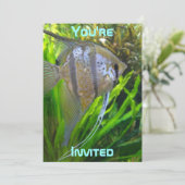 エンジェルフィッシュ招待状 招待状 (スタンド正面)