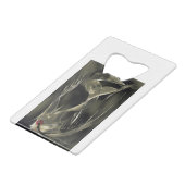 エンジェルフィッシュ水中競技抽象芸術 クレジットカード栓抜き (裏面アングル)