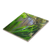 エンジェルフィッシュ タイル (側面)