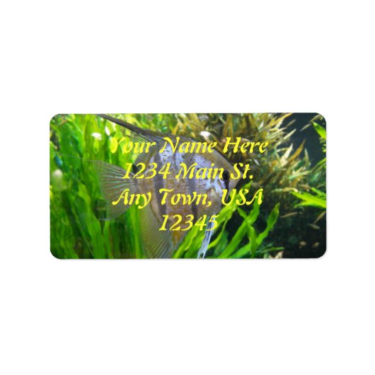 エンジェルフィッシュ ラベル (正面)