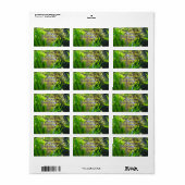 エンジェルフィッシュ ラベル (フルシート)