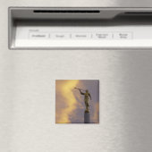 エンジェルモローニ磁石 マグネット (インサイチュ (食洗機))