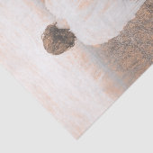 エンジェルヴィンテージセピアスケッチアート 薄葉紙 (詳細)