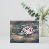 エンジェル亀はがき ポストカード (スタンド正面)