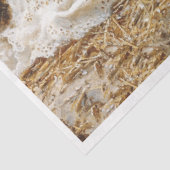 エンジェル出生 薄葉紙 (詳細)