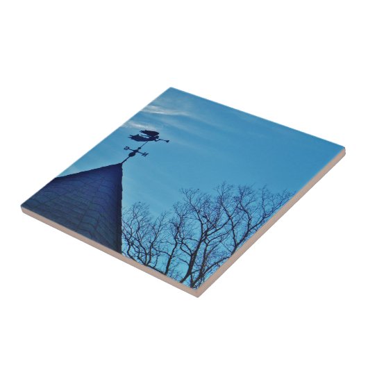 エンジェル吹ズ・ホーン風速計 タイル (側面)