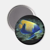 エンジェル威厳のあるフィッシュ マグネット (正面/裏面)