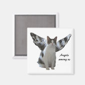 エンジェル子猫磁石 マグネット (正面/裏面)