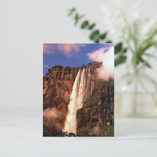 エンジェル秋オンAuyan Tepui,ベネズエラ ポストカード (スタンド正面)