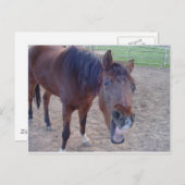 エンジェル笑い ポストカード (正面/裏面)