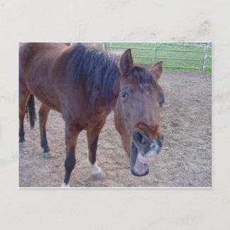 エンジェル笑い ポストカード