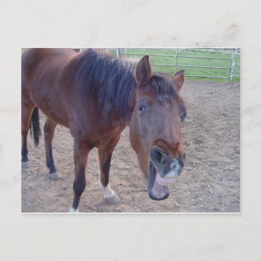 エンジェル笑い ポストカード (正面)