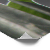 エンジェル落ちたドーブプリント ポスター (角)