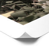 エンジェル賛美インの16x20ポスターとエッジ ポスター (角)