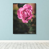 エンジェル顔バラ キャンバスプリント (インサイチュ (ウッドフロア))