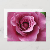 エンジェル顔IIポストカード ポストカード (正面/裏面)