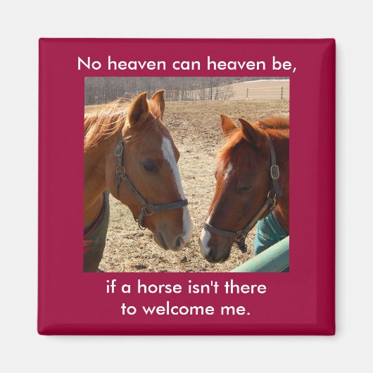 エンジェル馬 – 磁石 (正面)