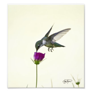 エンジェル・イン・フライト写真アート フォトプリント           