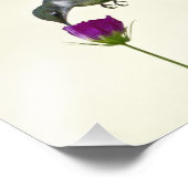 エンジェル・イン・フライト写真アート フォトプリント            (角)